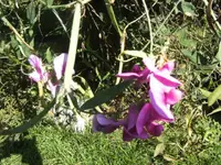 BILD0662.webp