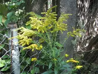 BILD0680.webp