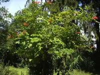 BILD0666.webp