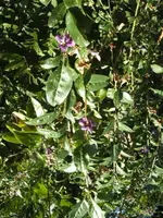 BILD0660.webp