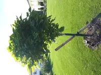 20180910_171236.webp