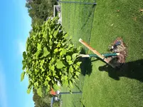 20180910_171246.webp