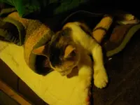 IMGP6807.webp