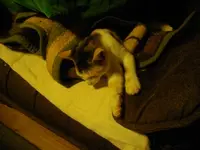 IMGP6805.webp