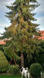 IMG_20180910_182335997_HDR.webp