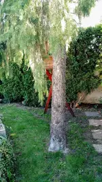 IMG_20180909_094615874.webp