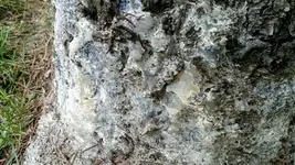 IMG_20180910_183438010.webp