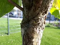 20180911_171951.webp