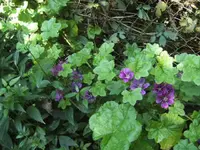 BILD0668.webp