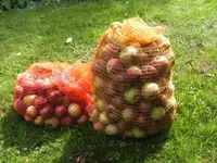 BILD0691.webp