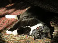 IMG_8828 v (2).webp