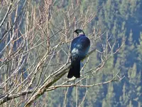 IMG_2275v (2).webp