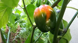 20180911_164622.webp