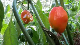 20180911_164633.webp