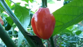 20180912_091901.webp
