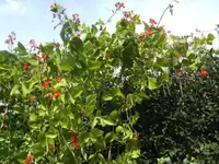 BILD0687.webp