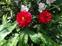 DSC03660.webp