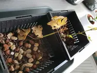 20180905_150400.webp