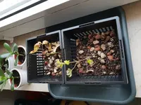 20180906_074412.webp