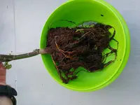 20180822_185445.webp