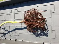 20180823_141640.webp