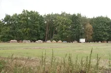 DSC07022.jpg