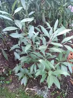IMG-20180911-WA0001.webp