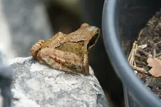 DSC07007.jpg