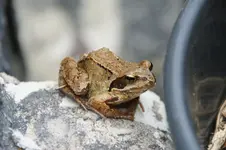DSC07010.webp