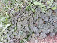 20180914_095719.webp