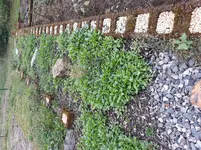 20180914_095708.jpg