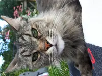 20180710_164730_002.webp