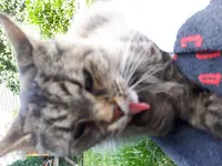 20180710_164652_001.webp