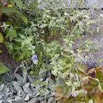 20180914_164812.jpg
