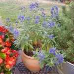 20180914_164215.jpg
