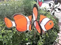 DSCI0990.JPG