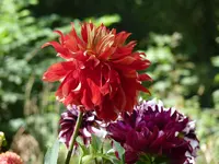 D6D4484D-5872-4F24-A22C-EB29F0CB24B5.webp