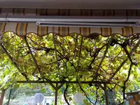 IMG_20180915_160224.webp
