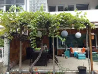 IMG_20180915_160328.webp
