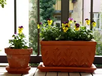 P1040446.webp