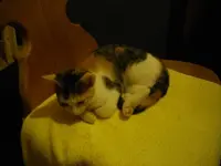 IMGP6819.webp