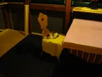 IMGP6820.webp