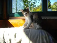 IMGP6824.webp