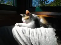IMGP6825.webp