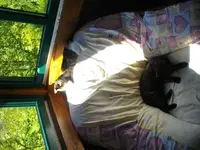IMGP6826.webp