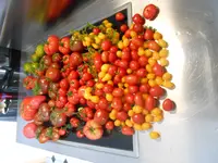 DSCN3195.webp