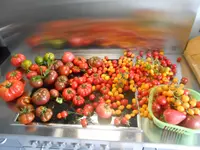 DSCN3196.webp