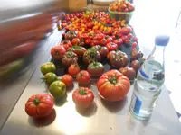 DSCN3198.webp