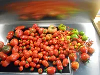 DSCN3202.webp