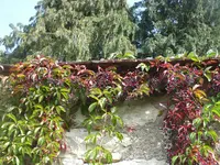 003.webp